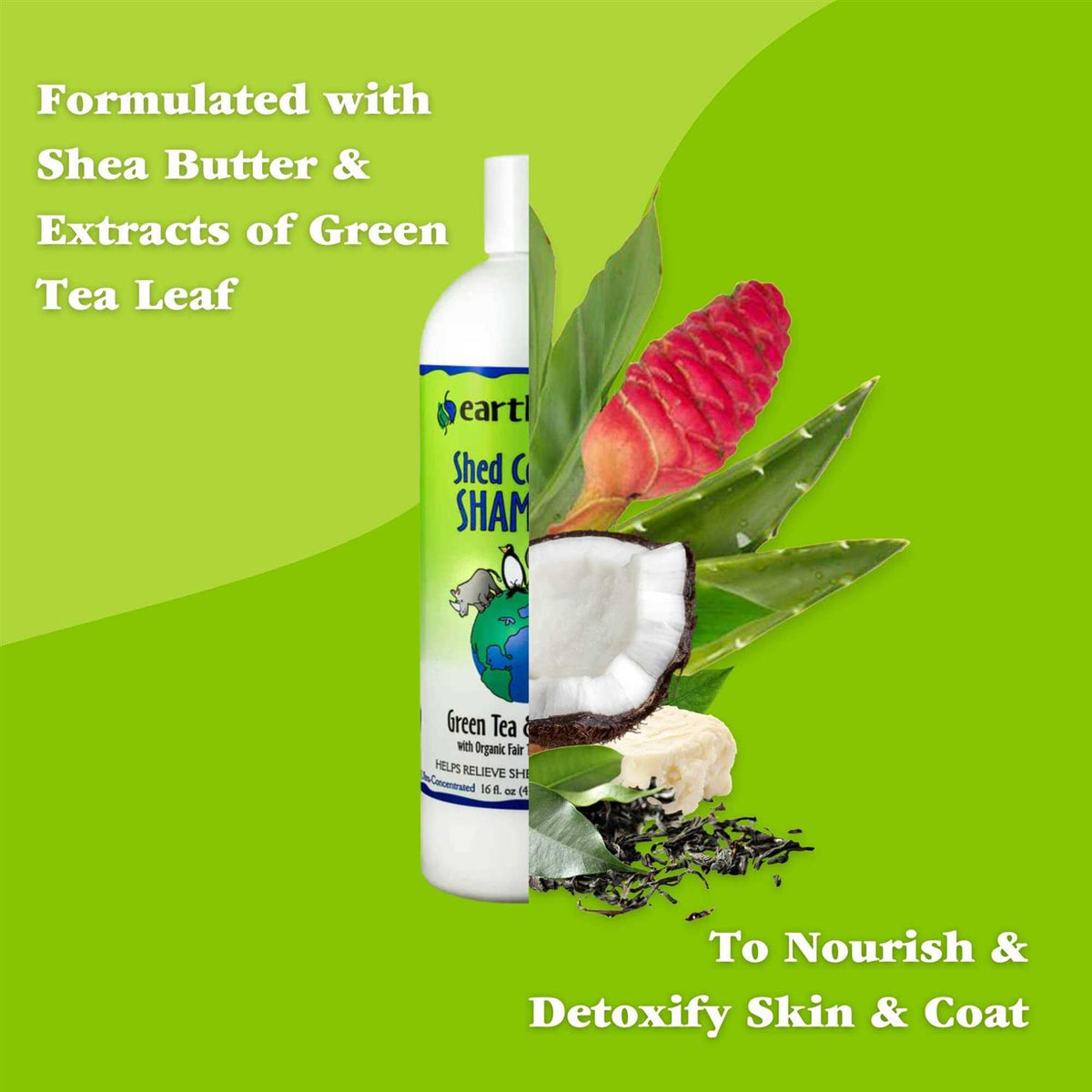 Green Tea & Awapuhi Shed Control Shampoo B89183