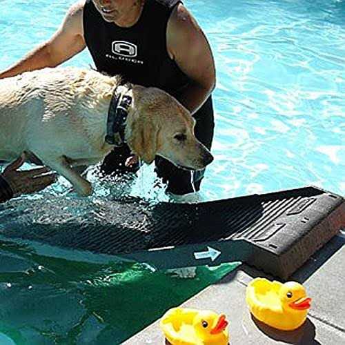 Pool Ramp for Dogs D9868