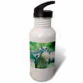 21 oz Sports Water Bottle N291
