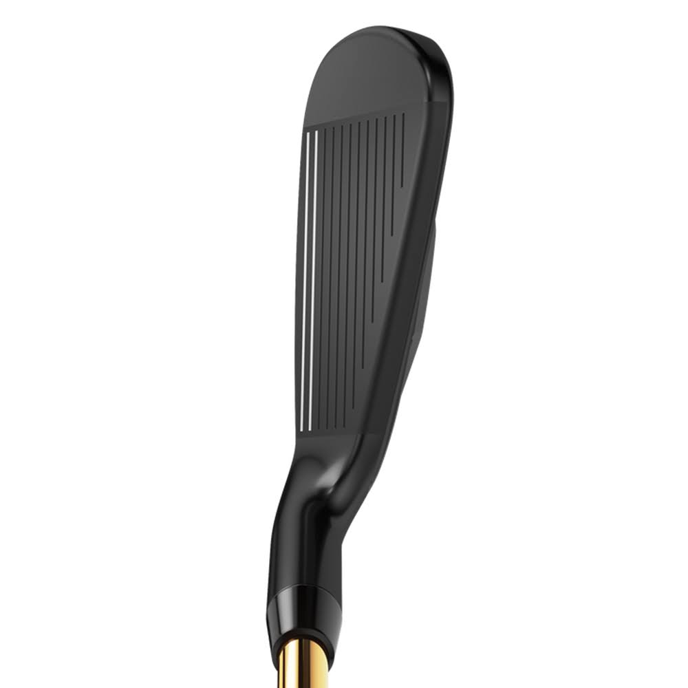 Graphite Individual Iron I66896