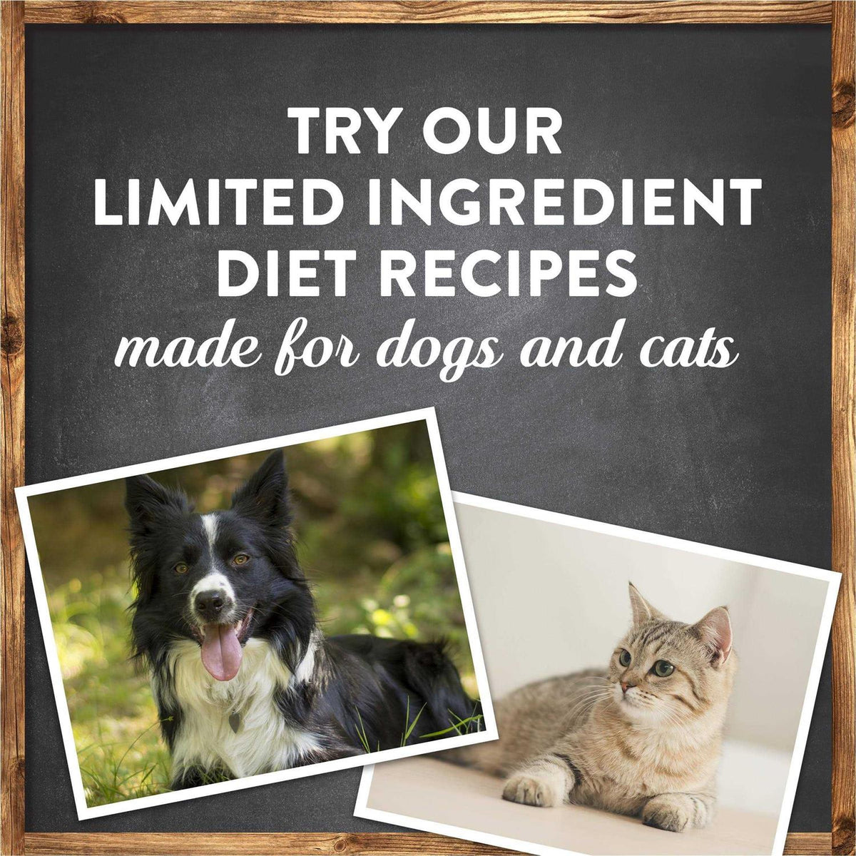 Grain Free Lamb Sweet Potato Recipe Dry Dog Food W172