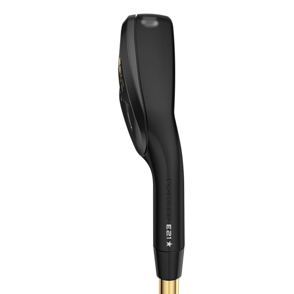 Graphite Individual Iron I66896