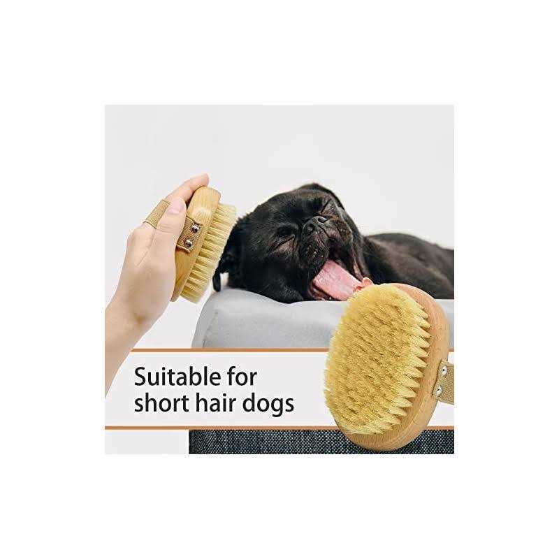 Soft Bristle Dog Brush with Elastic Band I6969