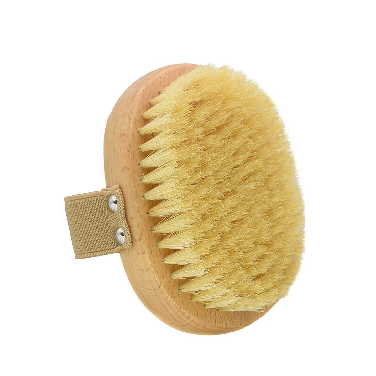 Soft Bristle Dog Brush with Elastic Band I6969