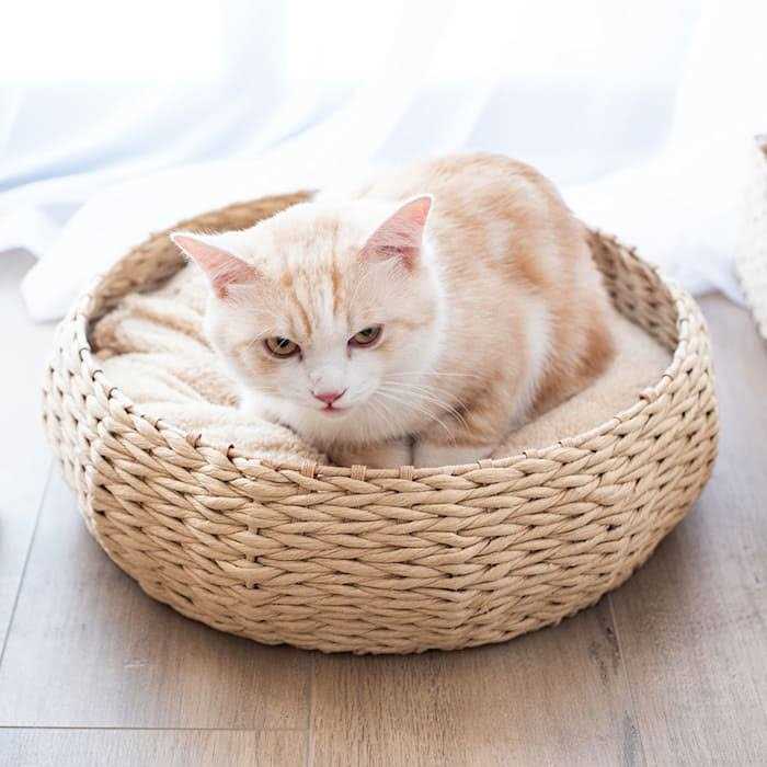 Seagrass Pet Bed Y95723
