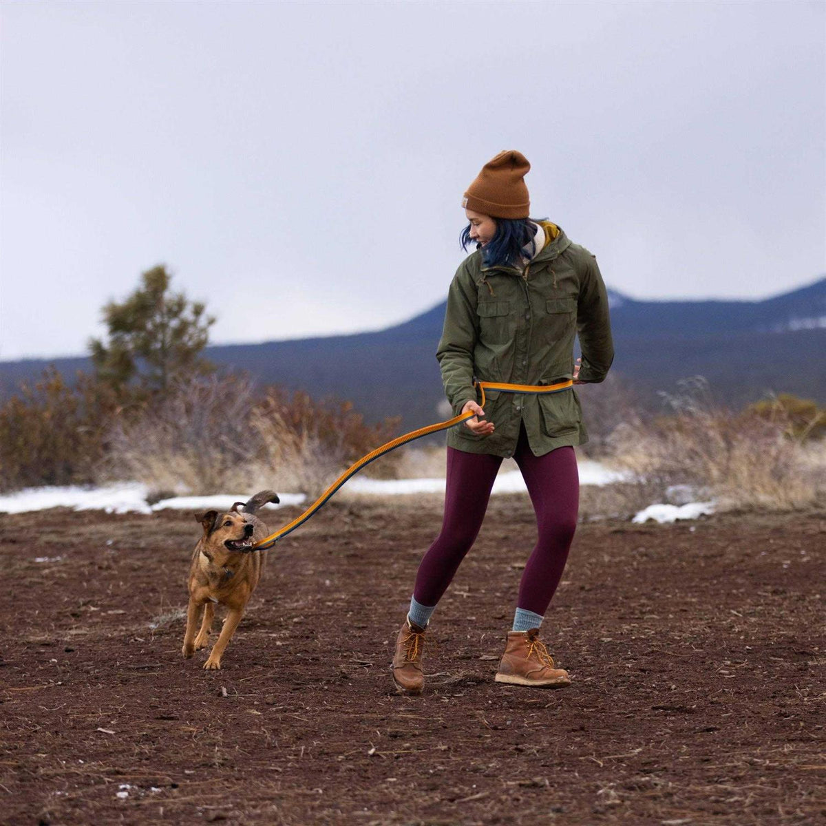Leash J70167