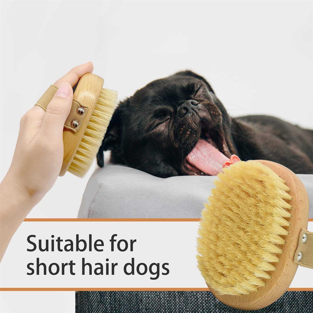 Soft Bristle Dog Brush with Elastic Band I6969