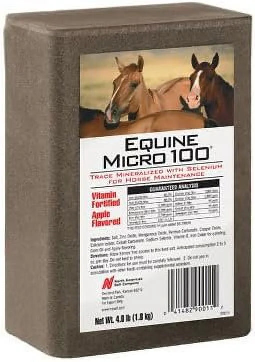 Equine Brick for Horses, 4-Lb. U10772